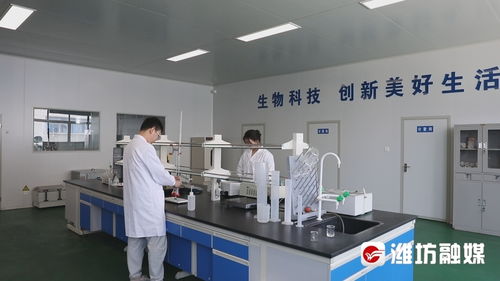 穩扎穩打有干頭 濰坊昌樂 創新驅動助力企業拓市場