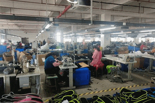 鹽城篇 在鄉村振興中煥發巾幗新動能